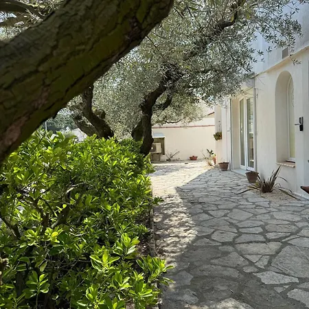 Villa Les Salines Maison De Vacances Au Grau Du Roi Le Grau-du-Roi Exterior foto