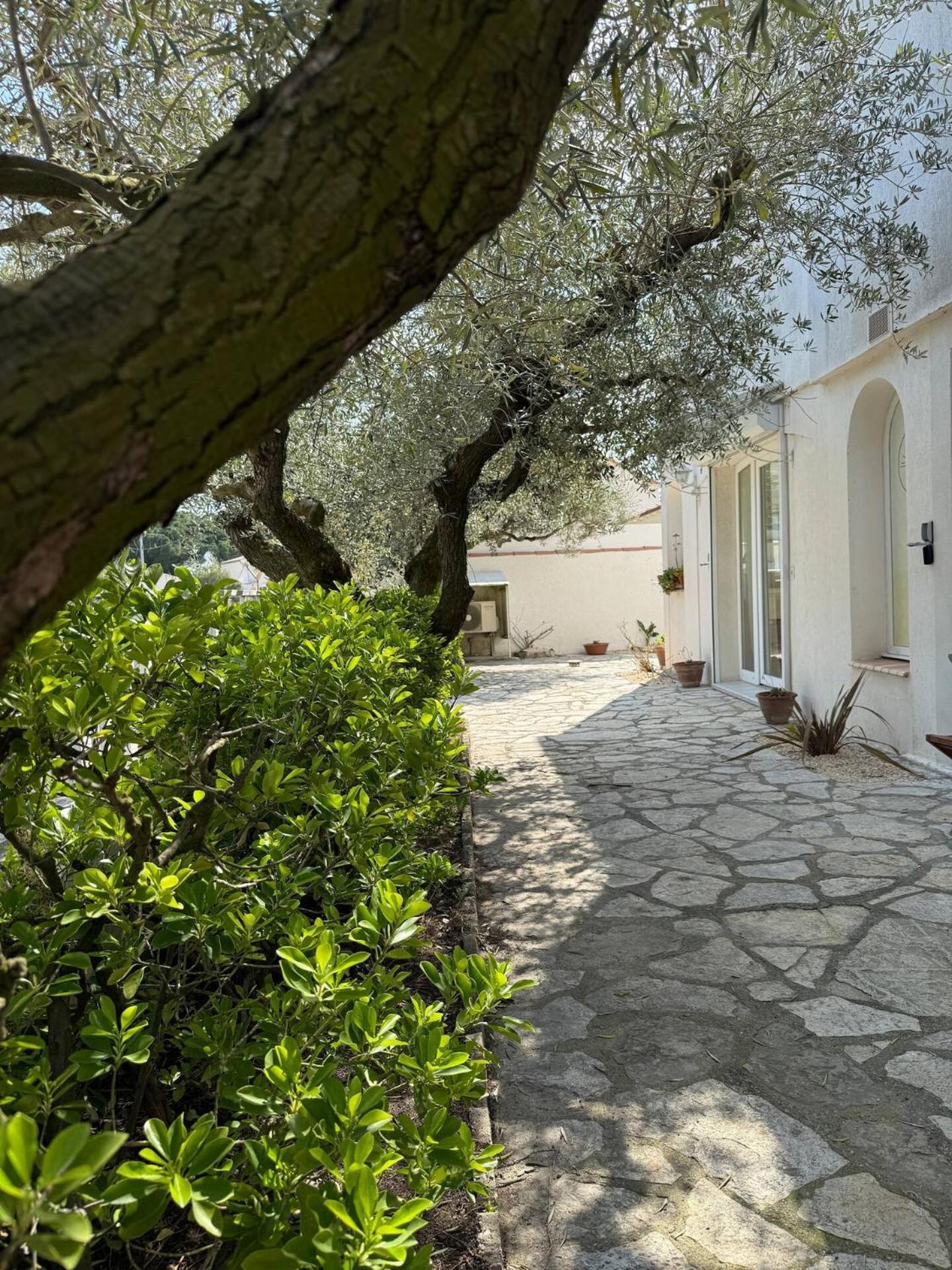 Les Salines Maison De Au Grau Du Roi Appartement *